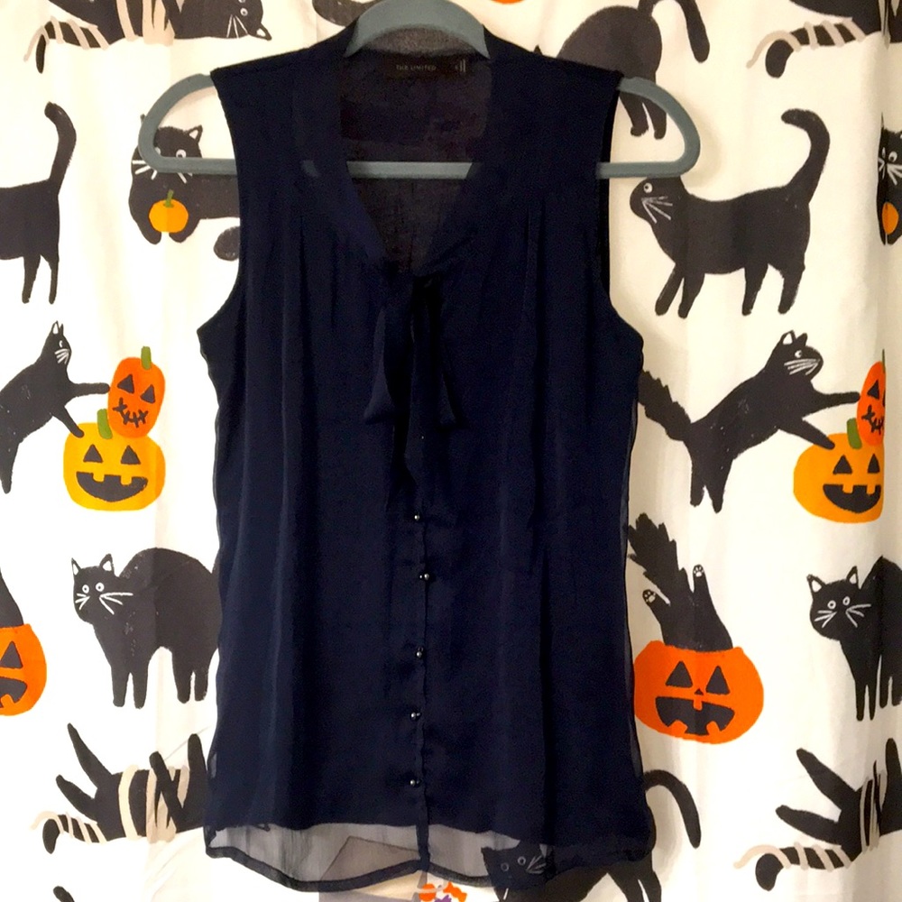 The Limited blouse